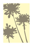 Pompom Brule Poster von Denise Duplock