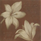 Tan Flowers Affiche par Cristina Valades