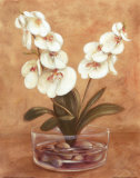 Red and White Flowers in Bowl Posters by Jose Gomez