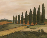Shady Tuscan Road Print by J. Clark