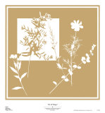 Yin and Yang I Plakater av Cory Bannister Yin and Yang I Plakater av Cory Bannister