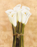 White Cala Lilies in String Láminas por Cuca Garcia
