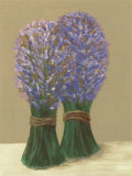 Purple Flowers in String Poster by David Col