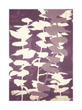 Eucalyptus, Mulberry Prints by Denise Duplock