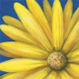 Yellow Daisy Posters by Julio Sierra