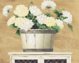White Flowers in Wooden Bucket Prints by David Col