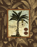 Banana Palm Prints by Karl Rattner Banana Palm Prints by Karl Rattner