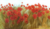 Red Poppies Pósters por Cuca Garcia Red Poppies Pósters por Cuca Garcia