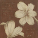 Tan Flowers Affiches par Cristina Valades