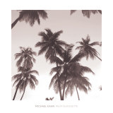 Palm Silhouette Poster by Michael Kahn