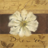 Fleur blanche Art par Cristina Valades