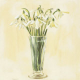 White Flowers Art by Stela Klein