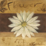 Fleur blanche Affiches par Cristina Valades