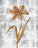 Orange Flower Prints by Stela Klein