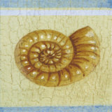 Shell Art by Jose Gomez