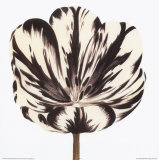 Black and White Flower Art par Miriam Bedia