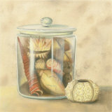 Shells in Jar Prints by Jose Gomez