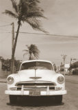 White Car and Palm Tree Posters par Nelson Figueredo