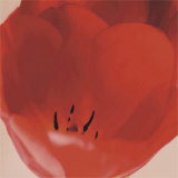 Orange Flower Poster par Prades Fabregat