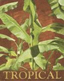 Tropical Plant Affiches par Miguel Valle