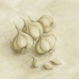 Garlic Prints by Stela Klein