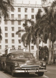 Black Car with Palm Trees Láminas por Nelson Figueredo Black Car with Palm Trees Láminas por Nelson Figueredo