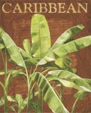 Caribbean Plant Posters by Miguel Valle