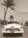 White Car and Palm Tree Póster por Nelson Figueredo
