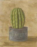 Dallas Cactus Prints by Mar Alonso