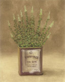Plant in Brown Can Prints by Jose Gomez