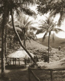 Hut and Palm Trees Láminas por Alexis de Vilar Hut and Palm Trees Láminas por Alexis de Vilar