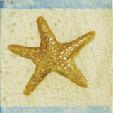 Estrellas de mar Láminas por Jose Gomez