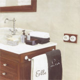 Sink Posters by Steven Norman
