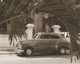 Car and Palm Posters par Nelson Figueredo