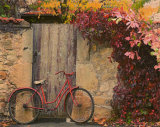 Red Bike Near Gate Prints by Francisco Fernandez