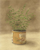 Plant in Orange Can Poster par Jose Gomez