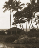 Hut, Palm Trees and Water Póster por Alexis de Vilar Hut, Palm Trees and Water Póster por Alexis de Vilar