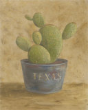 Texas Cactus Láminas por Mar Alonso Texas Cactus Láminas por Mar Alonso
