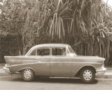 Car and Palm Trees Láminas por Nelson Figueredo