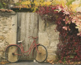 Red Bike Near Door Pósters por Francisco Fernandez Red Bike Near Door Pósters por Francisco Fernandez