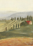 Scenery with House Prints by Miguel Valle