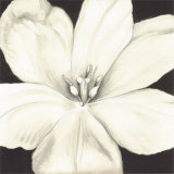 Fleur blanche Posters par Cristina Valades