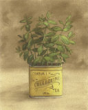 Plant in Yellow Tea Can Affiche par Jose Gomez