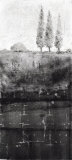 Black and White Scenery with Pine Tree Art by Pierre Vermont