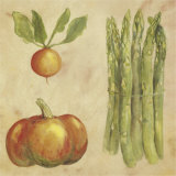 Asparagus and Radish Prints by Stela Klein