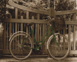 Green Bicycle Near Fence Láminas por Francisco Fernandez Green Bicycle Near Fence Láminas por Francisco Fernandez