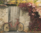 Red Bicycle Near Door Láminas por Francisco Fernandez