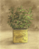 Plant in Yellow Tea Can Posters by Jose Gomez