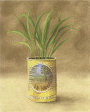 Plant in Yellow Can Art by Jose Gomez