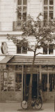 Cafe de Campagne Print by Francisco Fernandez